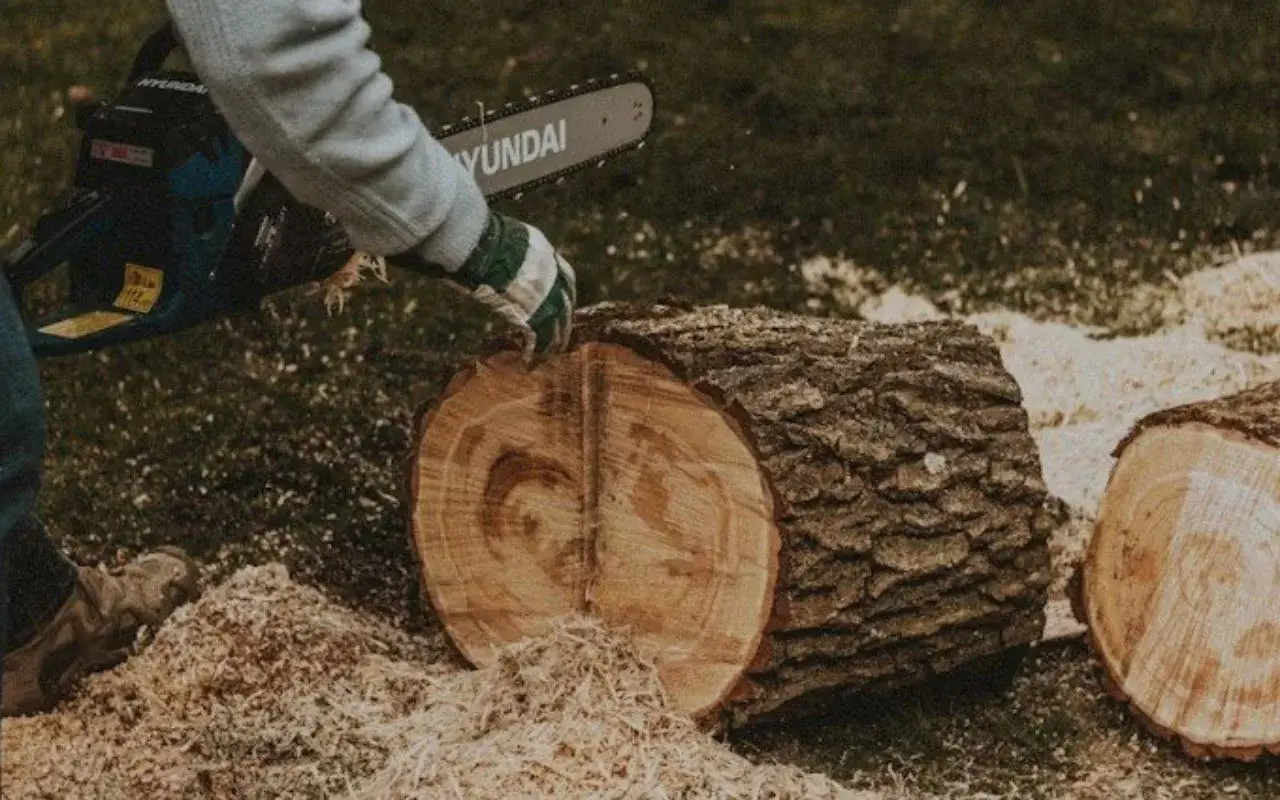 Stump grinding