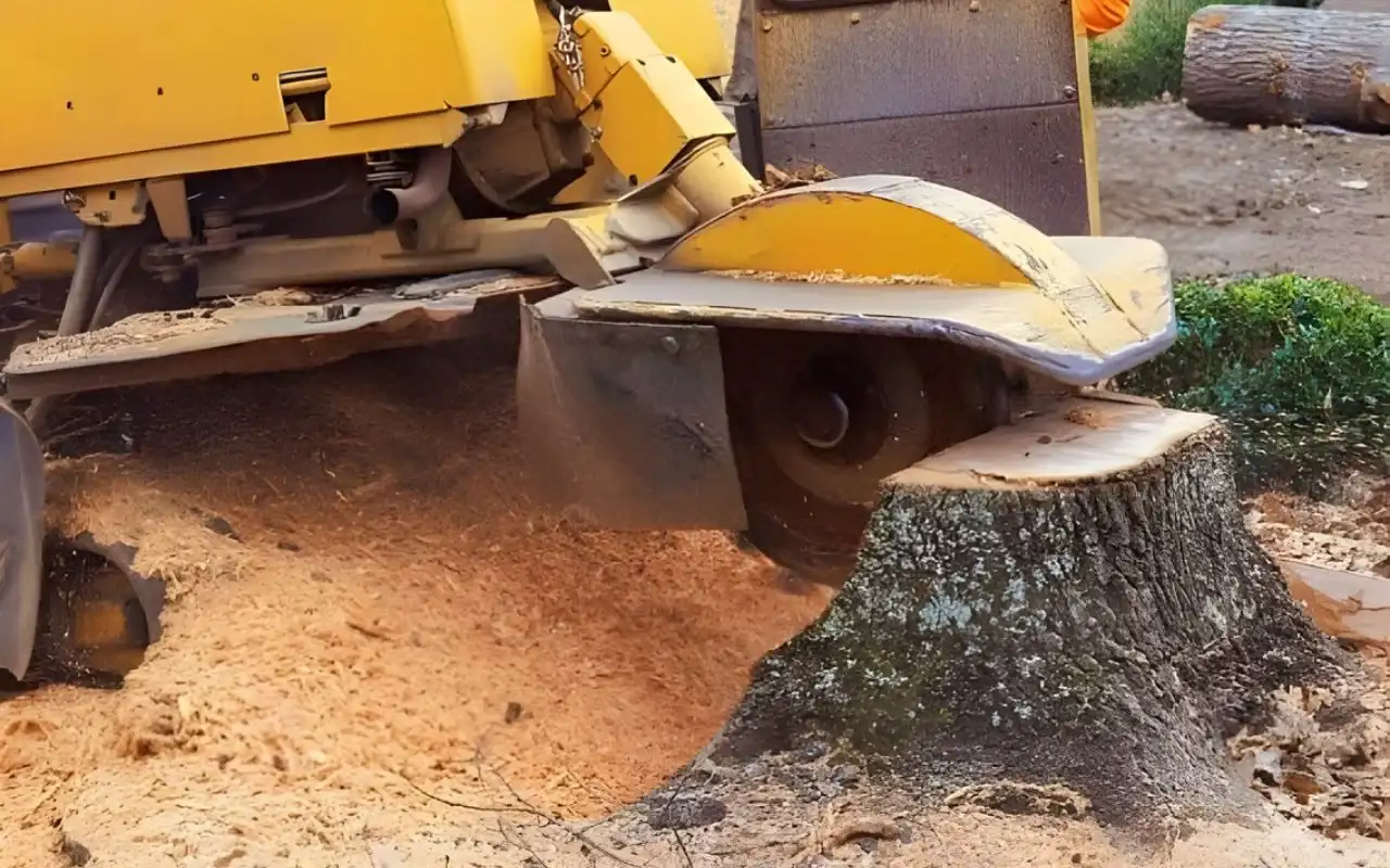 Stump removal
